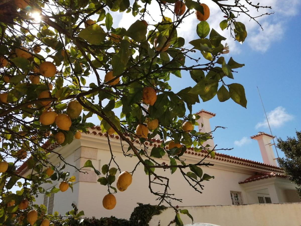 Limmo Garden - Alto Do Estoril Hotel Cascais Buitenkant foto